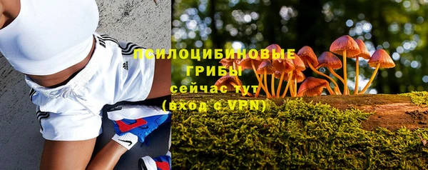 2c-b Богородск