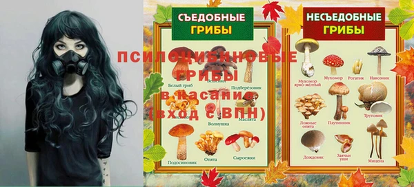 ГАЛЛЮЦИНОГЕННЫЕ ГРИБЫ Богородицк