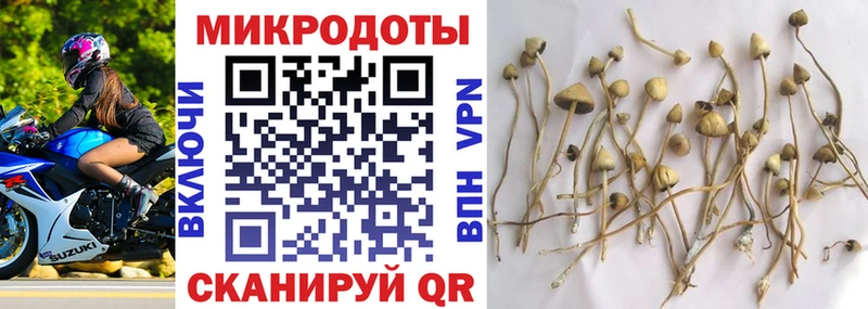 купить наркотик  Волчанск  Галлюциногенные грибы мухоморы 